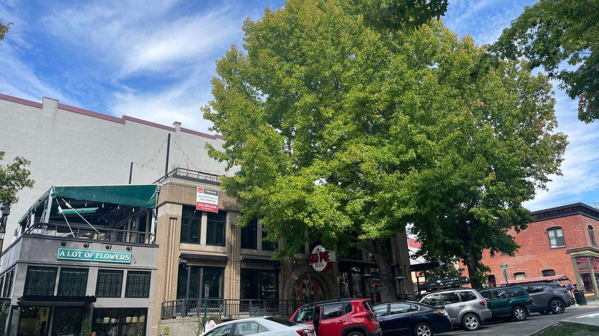 Downtown Fairhaven.