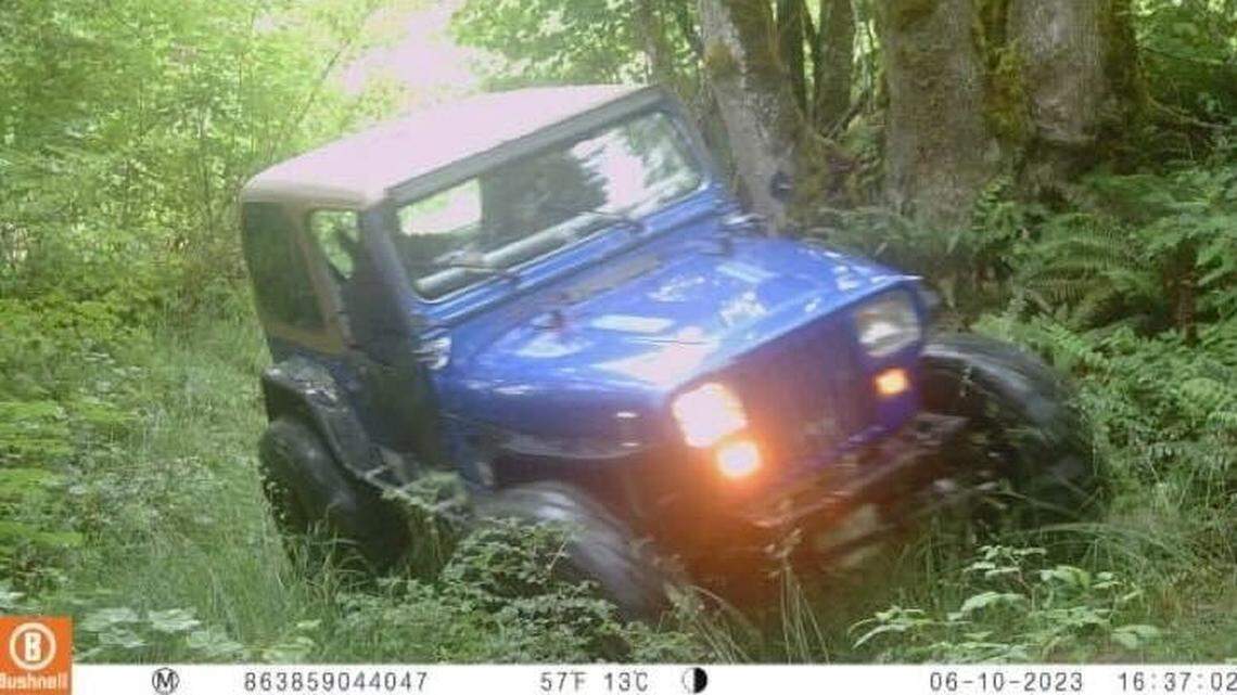 Off-roading in the watershed? Building a rogue trail? Bellingham has eyes on you