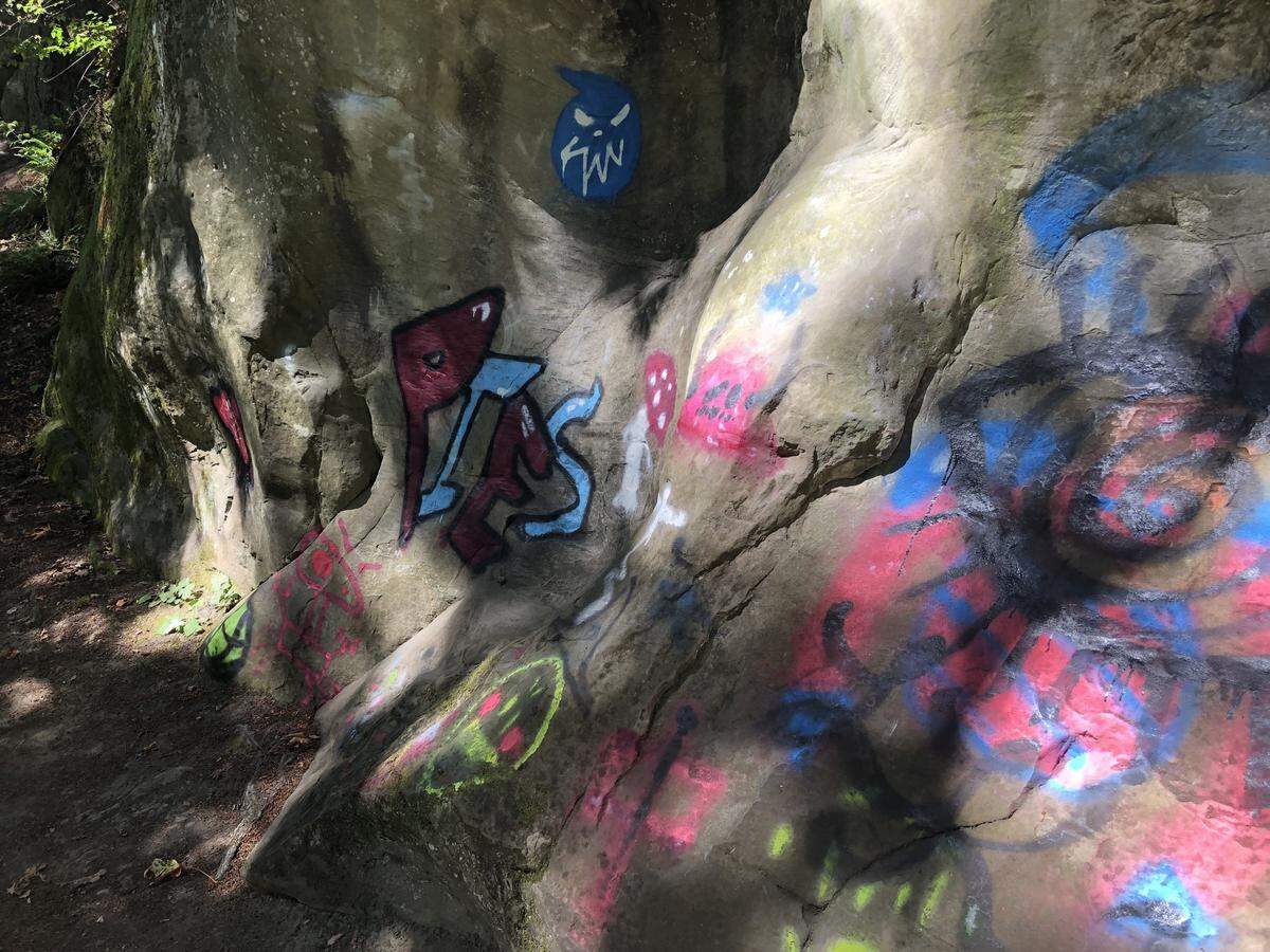 Damage at Sehome Hill Arboretum was posted to Facebook Monday, Nov. 14, by Bellingham Parks and Recreation. Rogue mountain bike trails carved into steep embankments cause erosion and damage plants while graffiti mars rock outcroppings, the observation tower, bollards and signs.