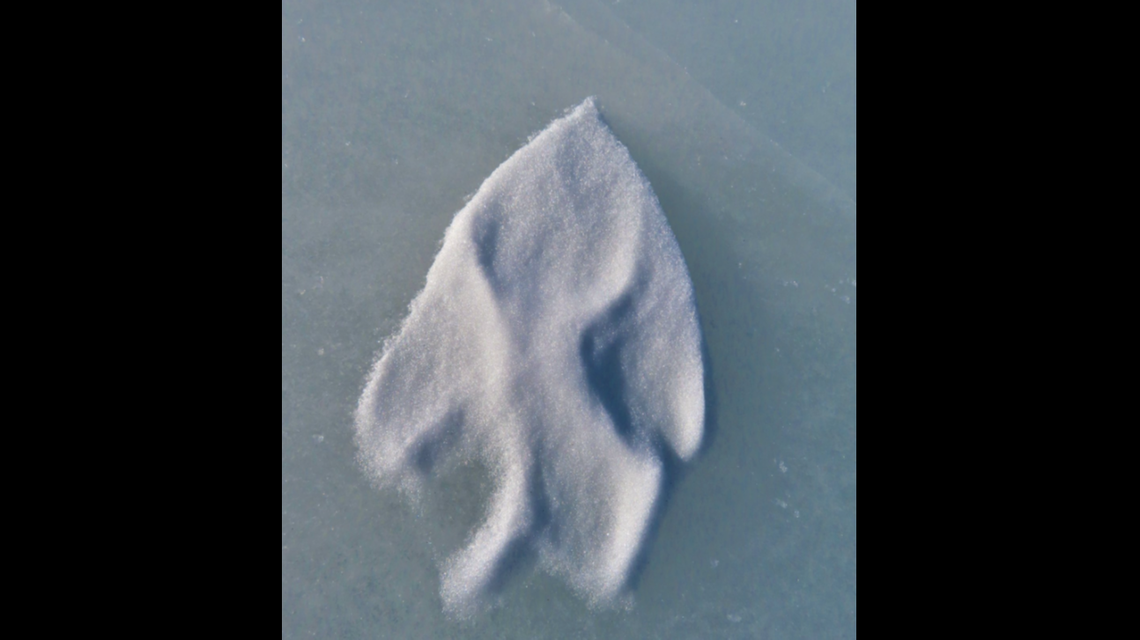 This is not a bear track, since bears have five toes, the National Park Service says.