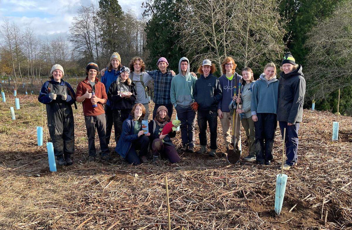 WWU ecological restoration club members joined a work party with the Nooksack Salmon Enhancement Association and Whatcom Land Trust this fall at Terrill Creek in Blaine.