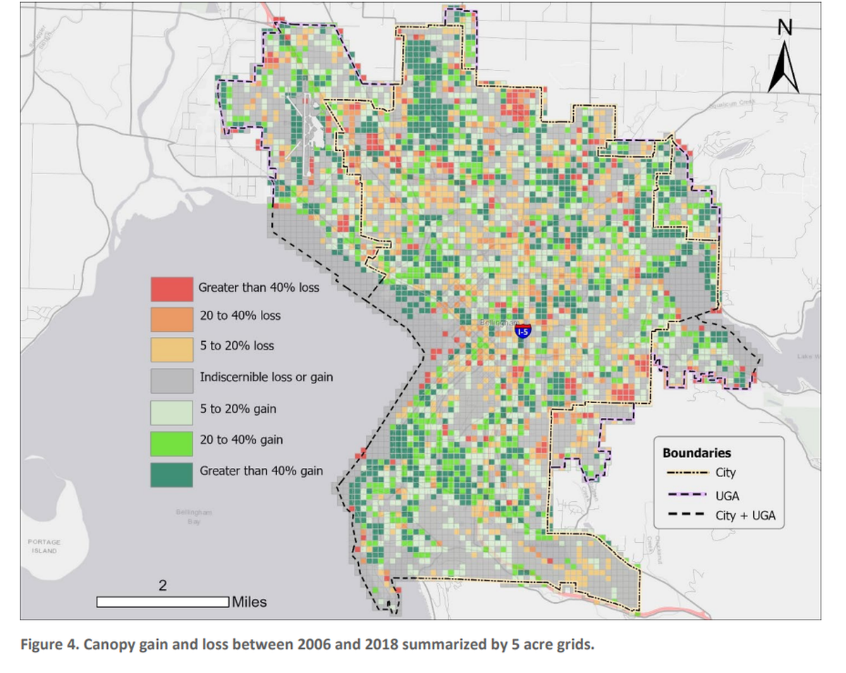 A report released by the City of Bellingham in August 2021 shows the change in tree canopy between 2006 and 2018.
