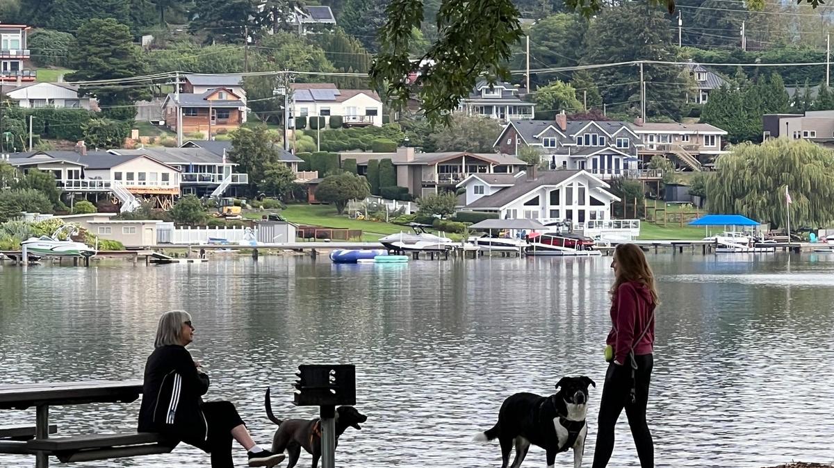 Dog owners chat as their canine companions frolic on the waterfront during morning off-leash time at Bloedel-Donovan Park on Wednesday in Bellingham.