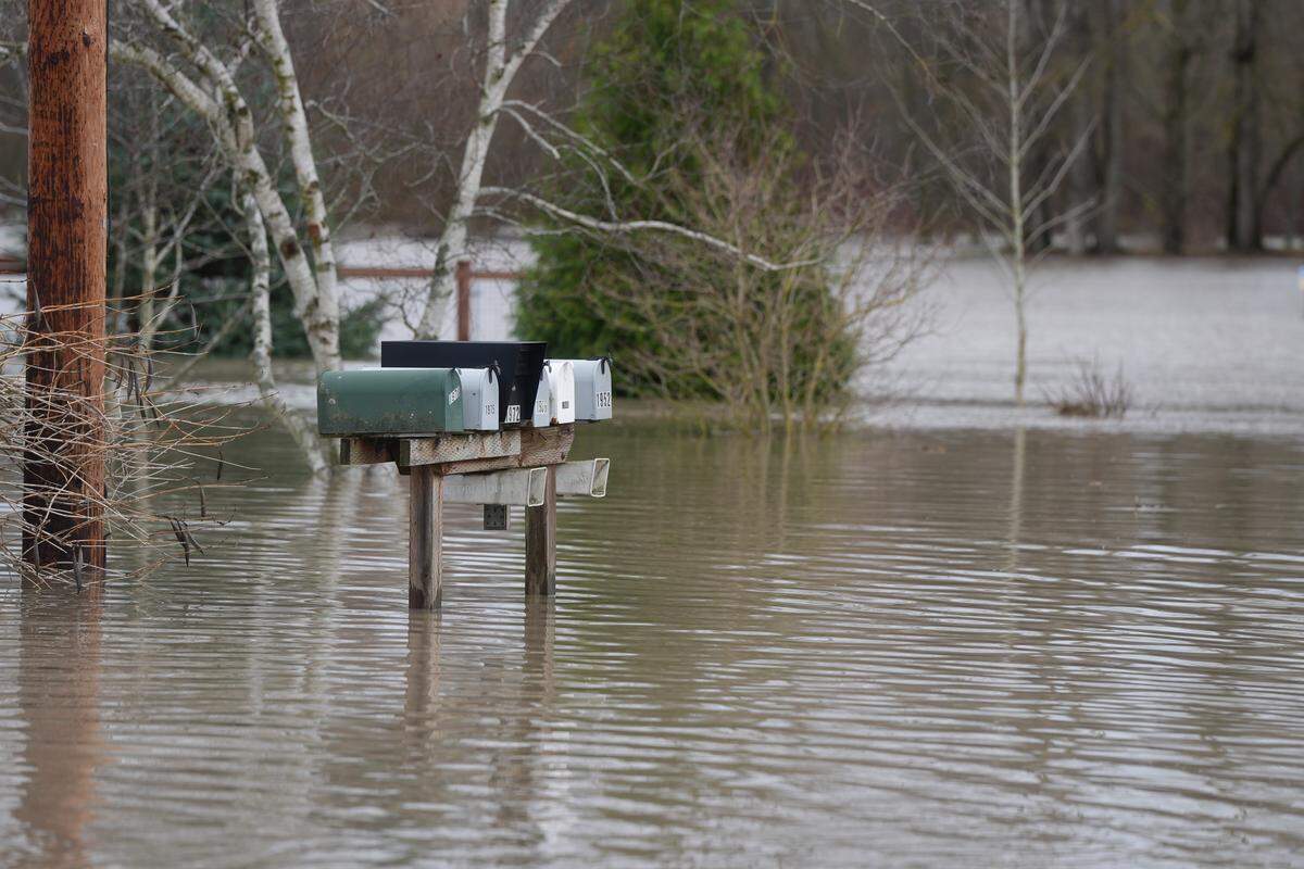 Mailboxes on Washington Street in Ferndale, Wash., were surrounded by about a foot of water on December 10, 2025, as the Nooksack River flooded the area.
