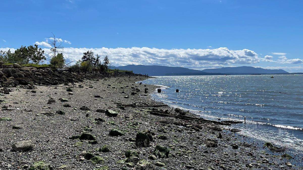 The beach on Bellingham Bay south of the downtown waterfront district will be part of the Salish Landing park.