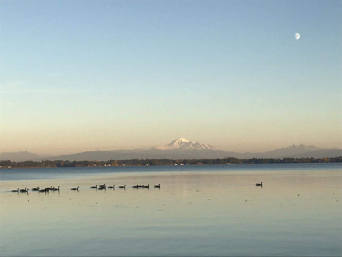 Mount Baker appears on the skyline above Drayton Harbor.