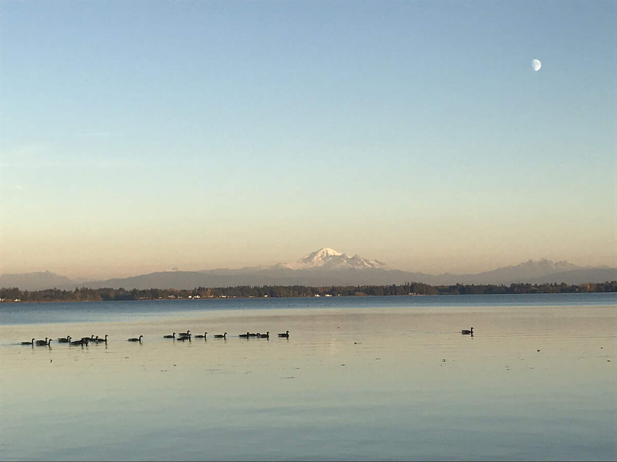 Mount Baker appears on the skyline above Drayton Harbor.