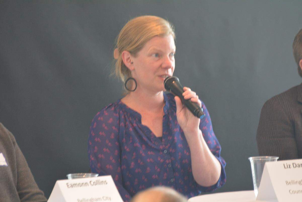 Councilor Liz Darrow said she believes her impersonator’s online account has been removed.