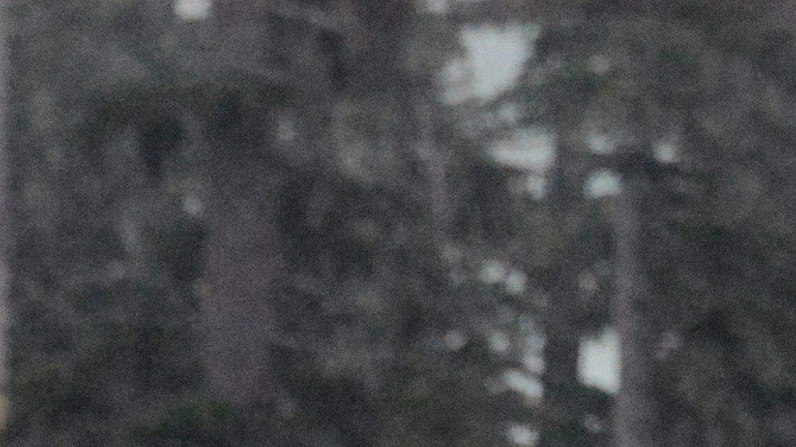 Snow-free Ski to Sea finally underway