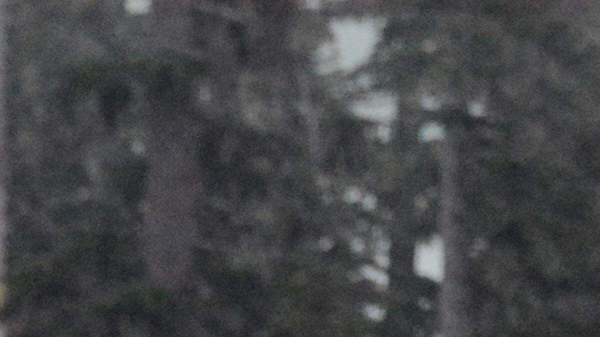 Runners hit the road at Mt. Baker Ski Area on Sunday, May 24 at the start of the 2015 Ski to Sea Race, which was forced to cancel the skiing legs this year due to poor snowpack in the Cascades this year.