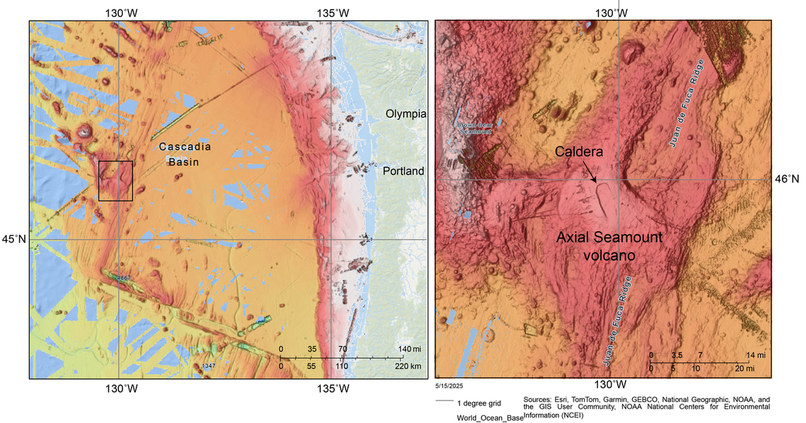 The Axial Seamount is located where the Juan de Fuca Plate meets the Pacific Plate.