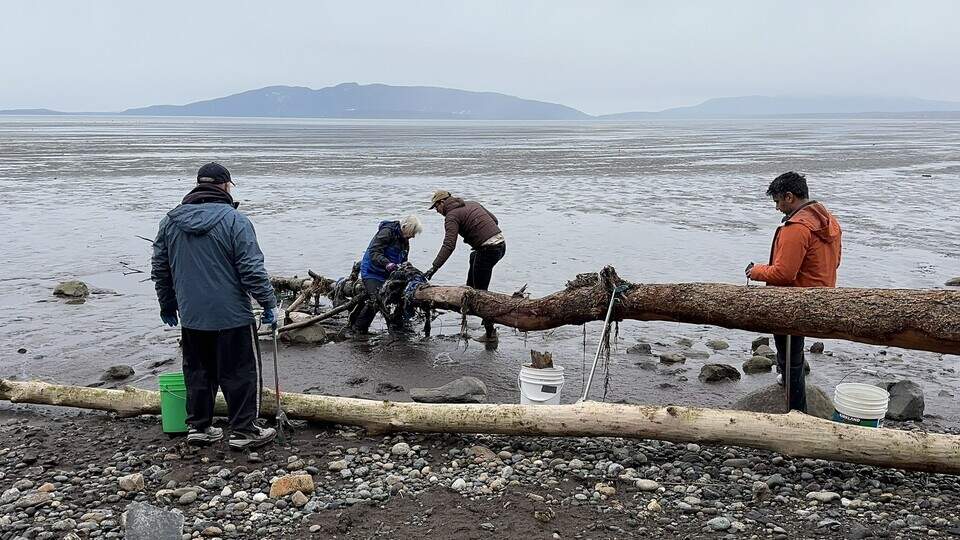 Bellingham nonprofit hosts Valentine’s Day beach cleanup | Bellingham ...