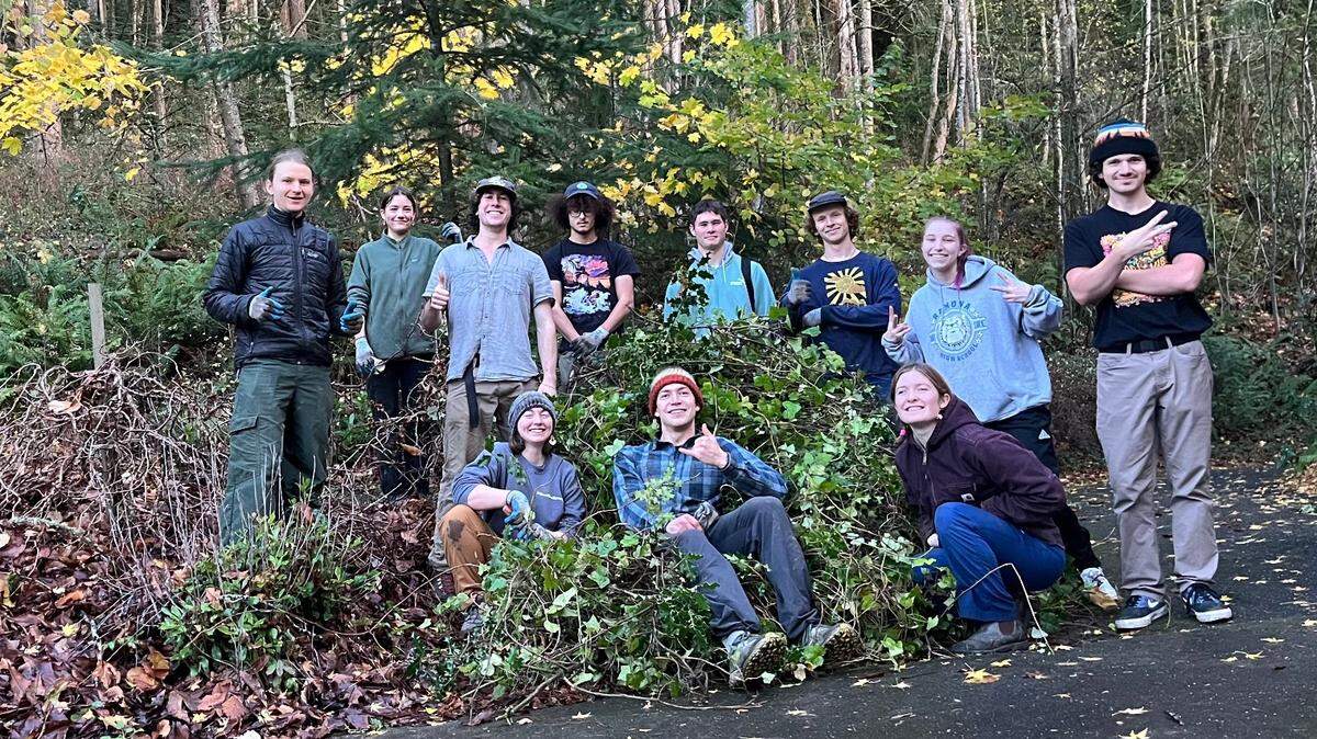 Members of Western Washington University’s Students for Ecological Restoration Club cleared 4 cubic yards of invasive ivy and holly from the Sehome Arboretum in November.