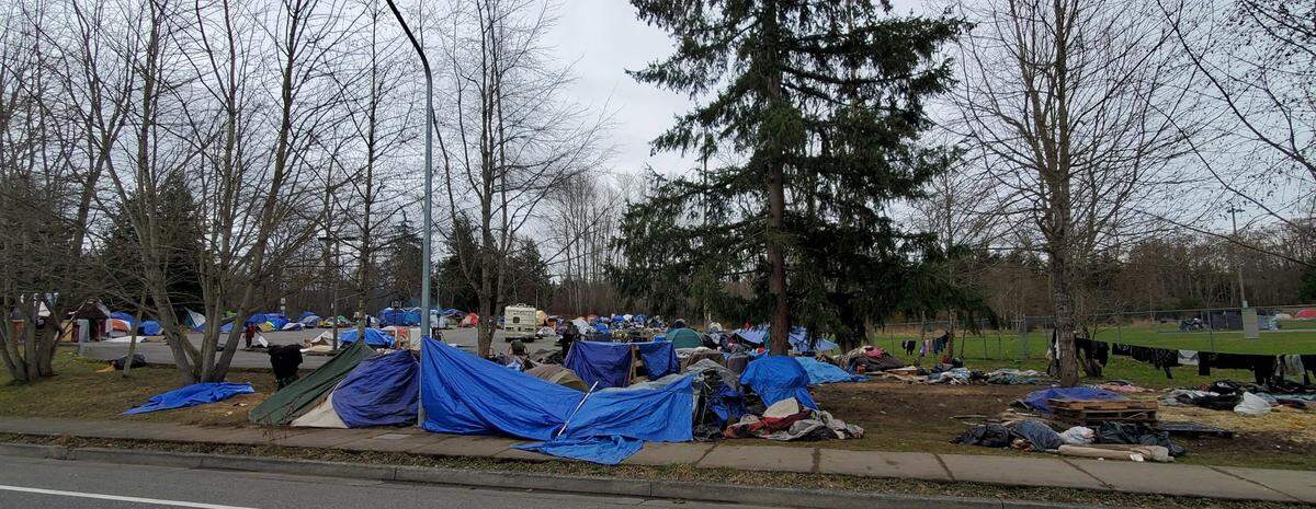 Homeless people camp on the lawn near Frank Geri Softball Fields in Bellingham in February 2021.