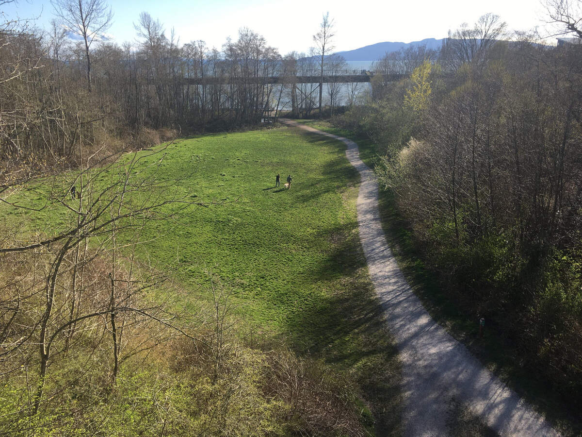 The city of Bellingham has hired a contractor to improve salmon habitat by building an estuary at what is now Little Squalicum Park and removing barriers for fish at the mouth of Little Squalicum Creek.