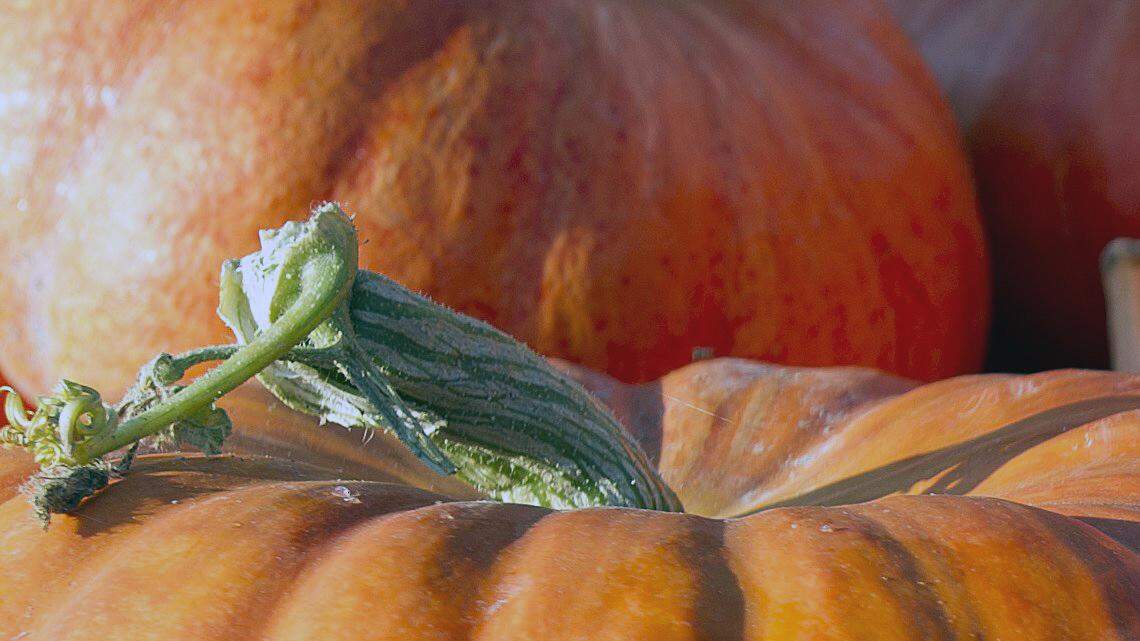 Disney Imagineer to teach Bellingham pumpkin-sculpting class