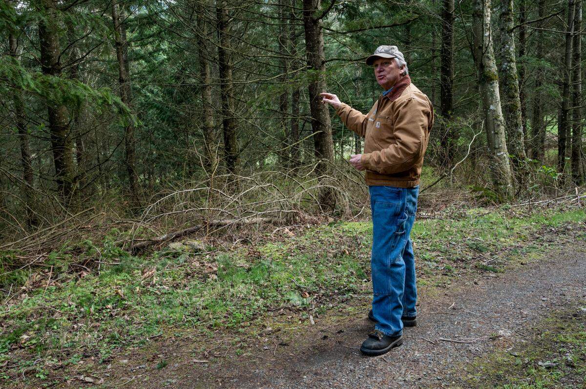 Tom Westergreen points to Douglas fir trees on his farm on Tuesday, March 29, in Whatcom County.