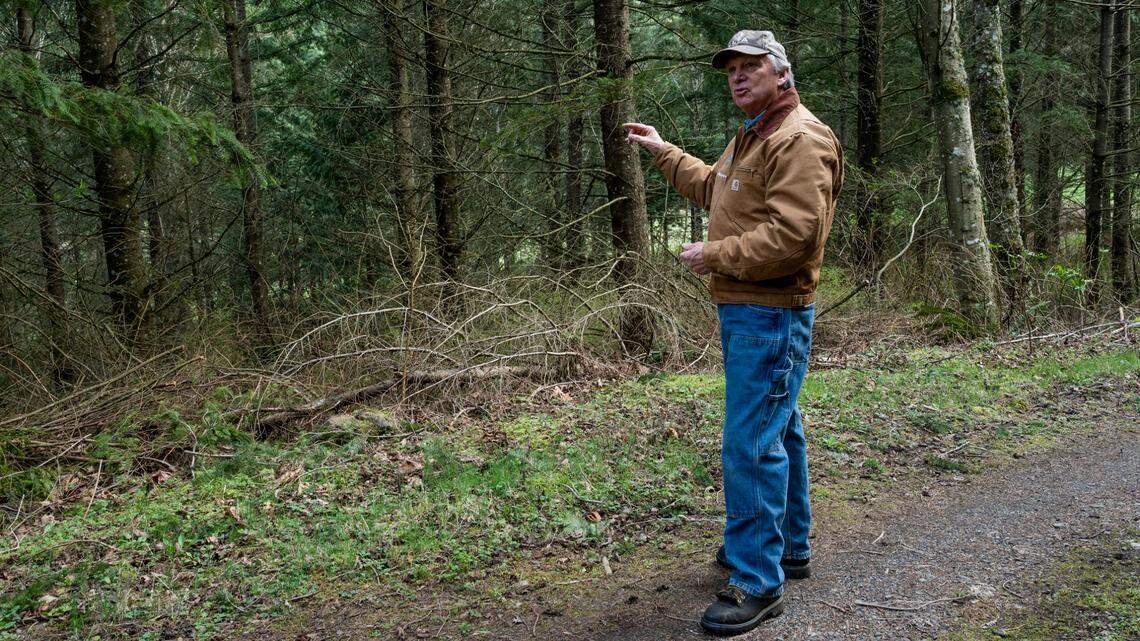 Fourth-generation forester says thriving forestry sector needs private and trust lands