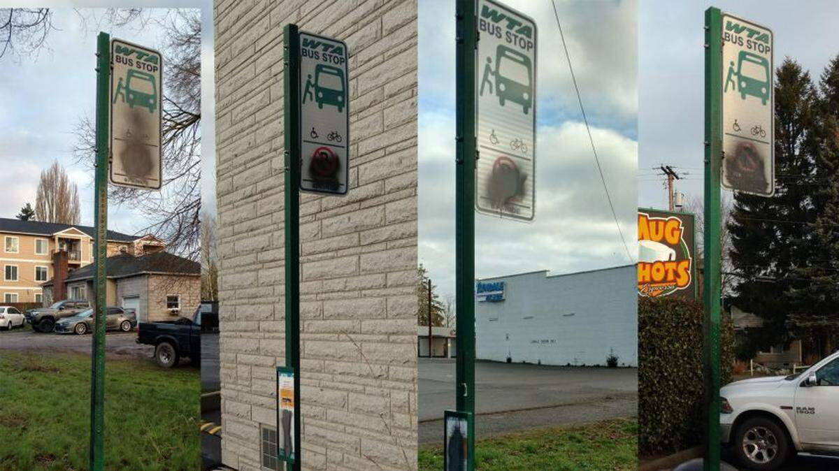 Ferndale Police arrested a man early Wednesday, Feb. 3, they suspect was responsible for at least some of recent vandalism reported at Whatcom Transportation Authority bus stops in the area worth between $2,500 and $3,500 in damage.