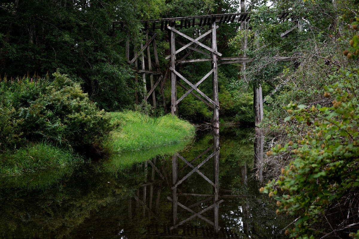 The historic railroad trestle in Whatcom Falls Park could collapse and must be demolished, according to Bellingham officials. The trestle, on Friday, Aug. 20, crosses Whatcom Creek on the south end of the Railroad Trail, north of Derby Pond in Bellingham.
