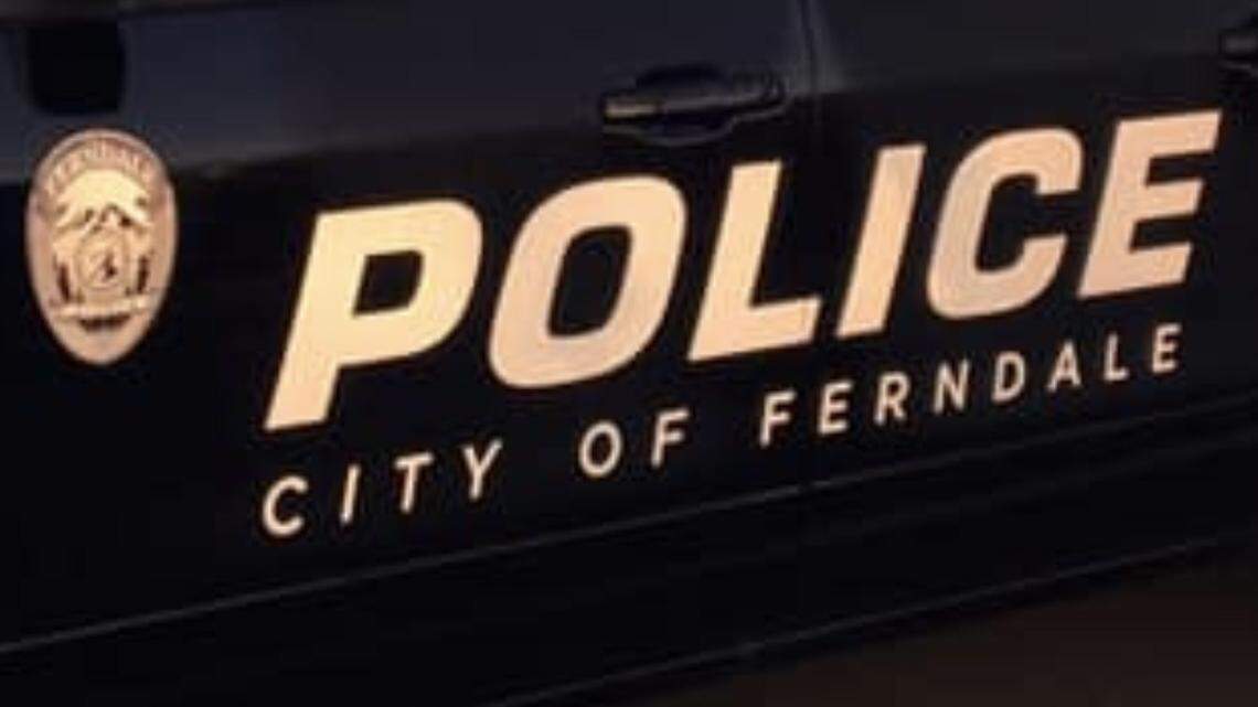 Man faces felony charge for allegedly waving gun at Ferndale business
