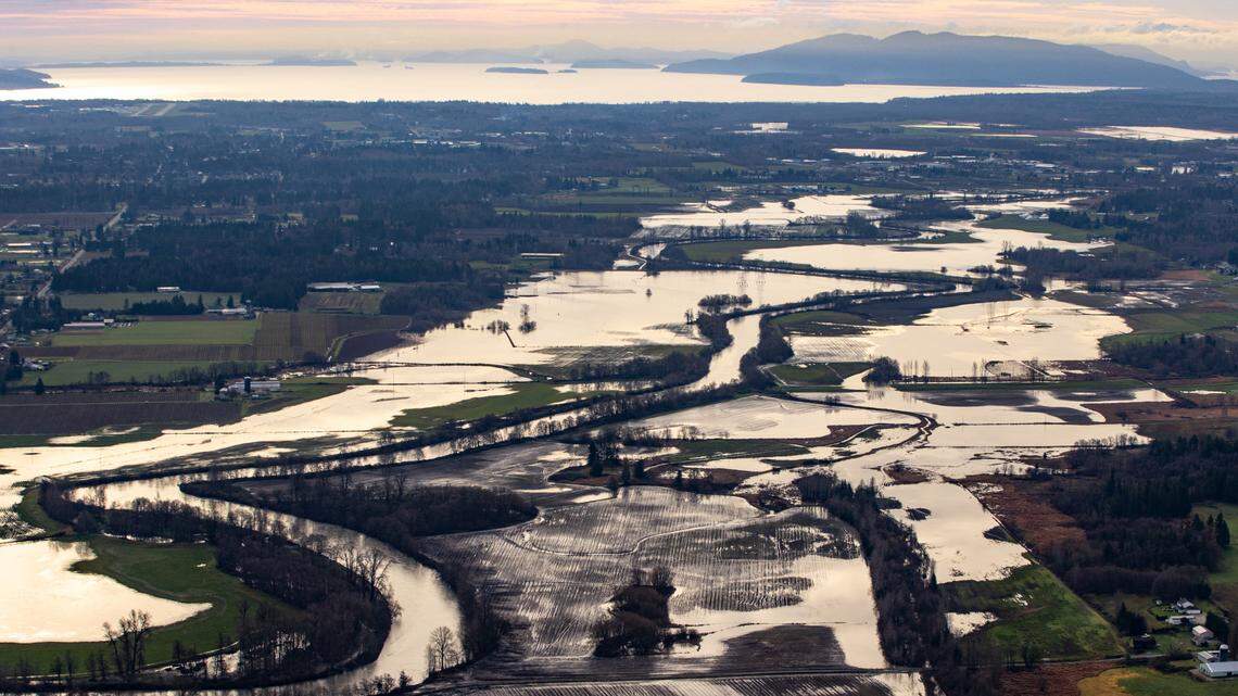 Whatcom farmers call for these immediate Nooksack flood, water solutions
