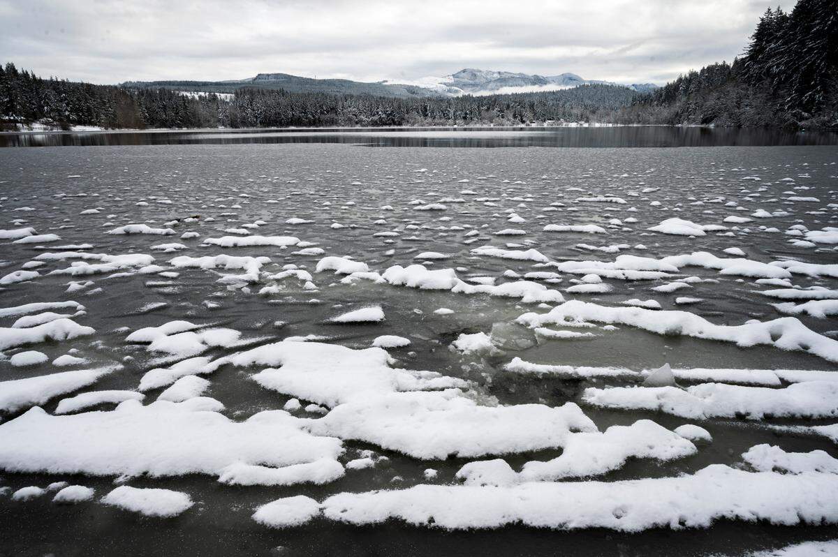 Thin ice is forms along the shore of Lake Padden following several days of freezing temperatures on Dec. 30, 2021, in Bellingham.