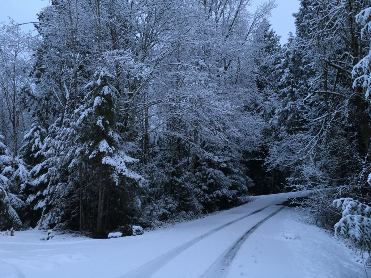 Snow coats a Sudden Valley street near Lake Louise Road on Friday.