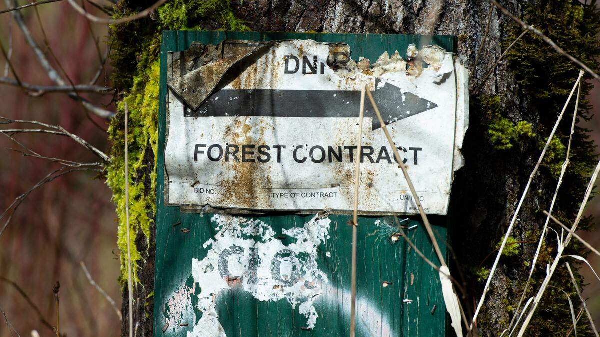 A Washington Department of Natural Resources sign marks a forest contract on Tuesday, March 22, 2022, in Whatcom County, Wash.