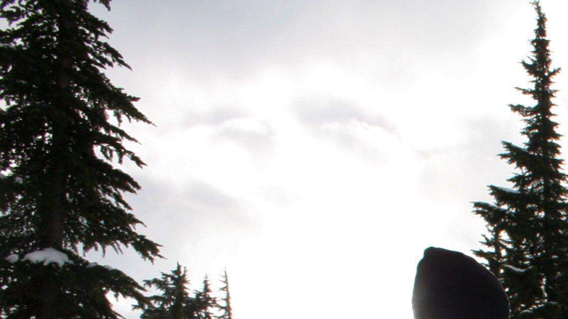 There and back again - finding Middle Earth on Washington's trails