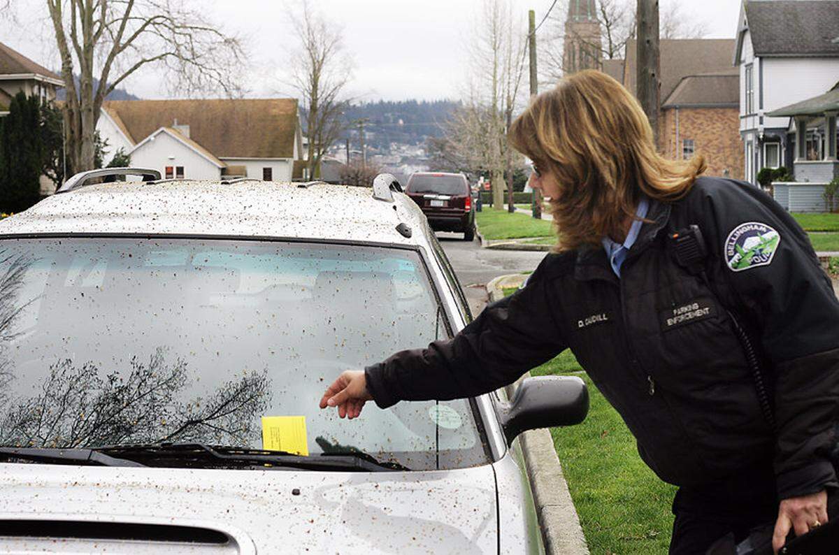 PARKING TICKETS