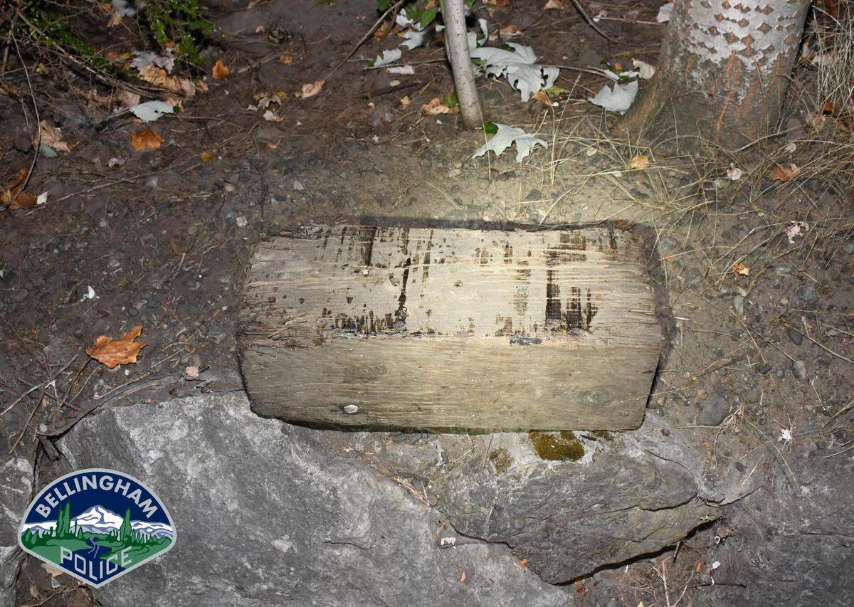 A man reportedly threw a 25-pound piece of railroad tie at a passing Bellingham Police Department patrol vehicle early Saturday, Sept. 19, 2022, smashing the windshield in Bellingham, Washington.