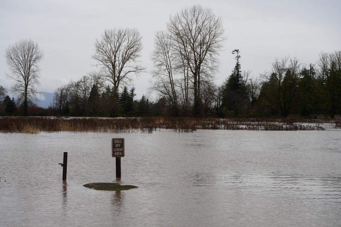 The Nooksack River flooded the off-leash dog area north of Hovander Park on December 11, 2025, in Ferndale, Wash.