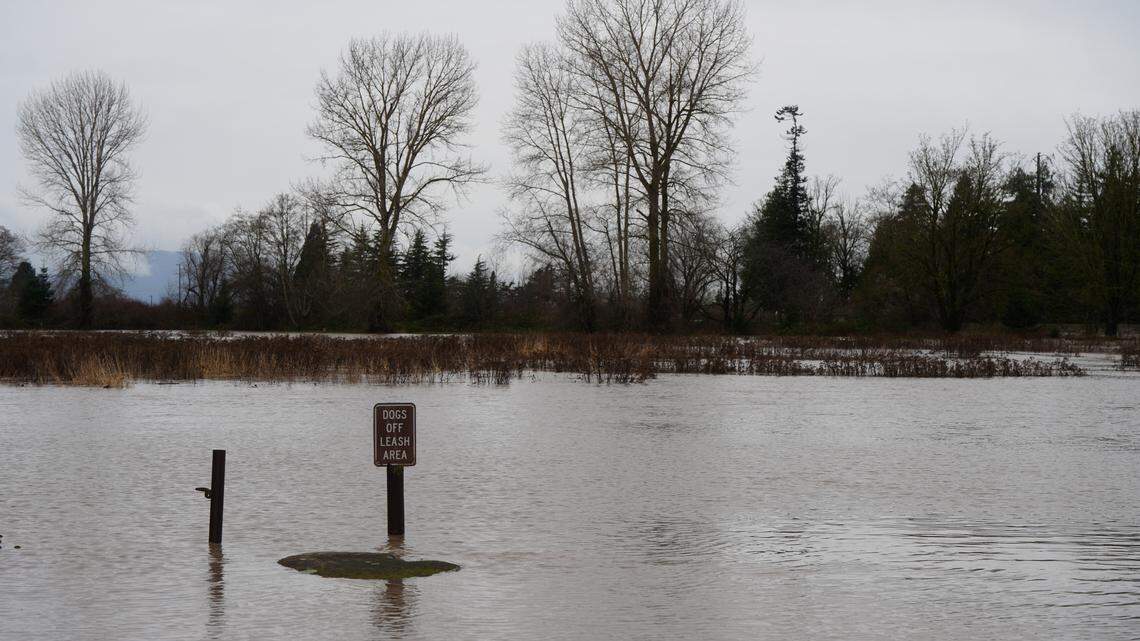 FEMA to host weeklong disaster assistance center for flood damage at Ferndale