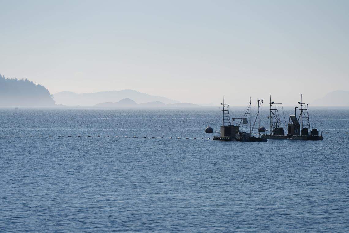 A reef net fishing rig is anchored off Lummi Island on Sept. 14, 2023. The practice is an ancient Indigenous salmon fishing tradition that has been separated from the tribes due to colonialism, government policies, habitat destruction and declining salmon populations.