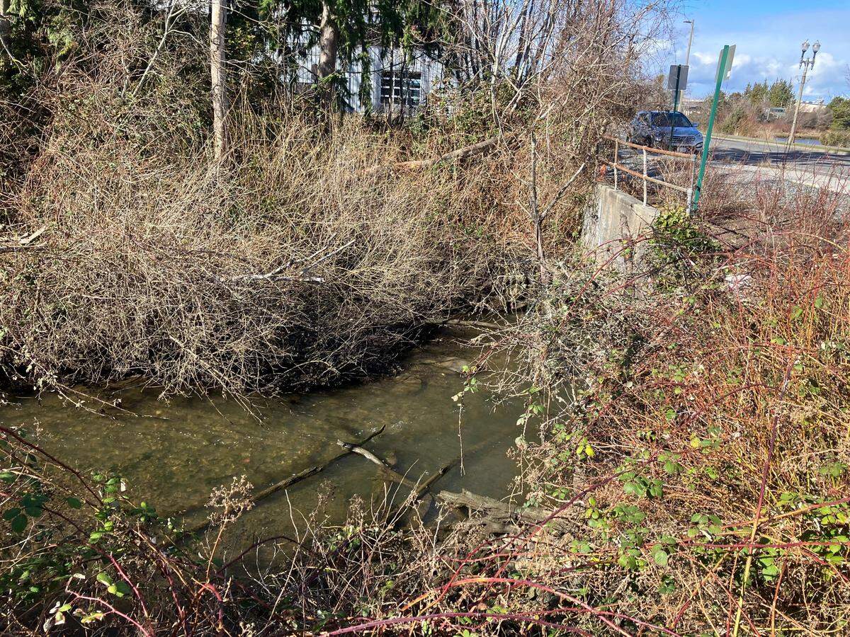 Bellingham has received a $1.6 million state grant to design a new culvert for Padden Creek where it goes under Harris Avenue in Fairhaven and drains into Bellingham Bay.