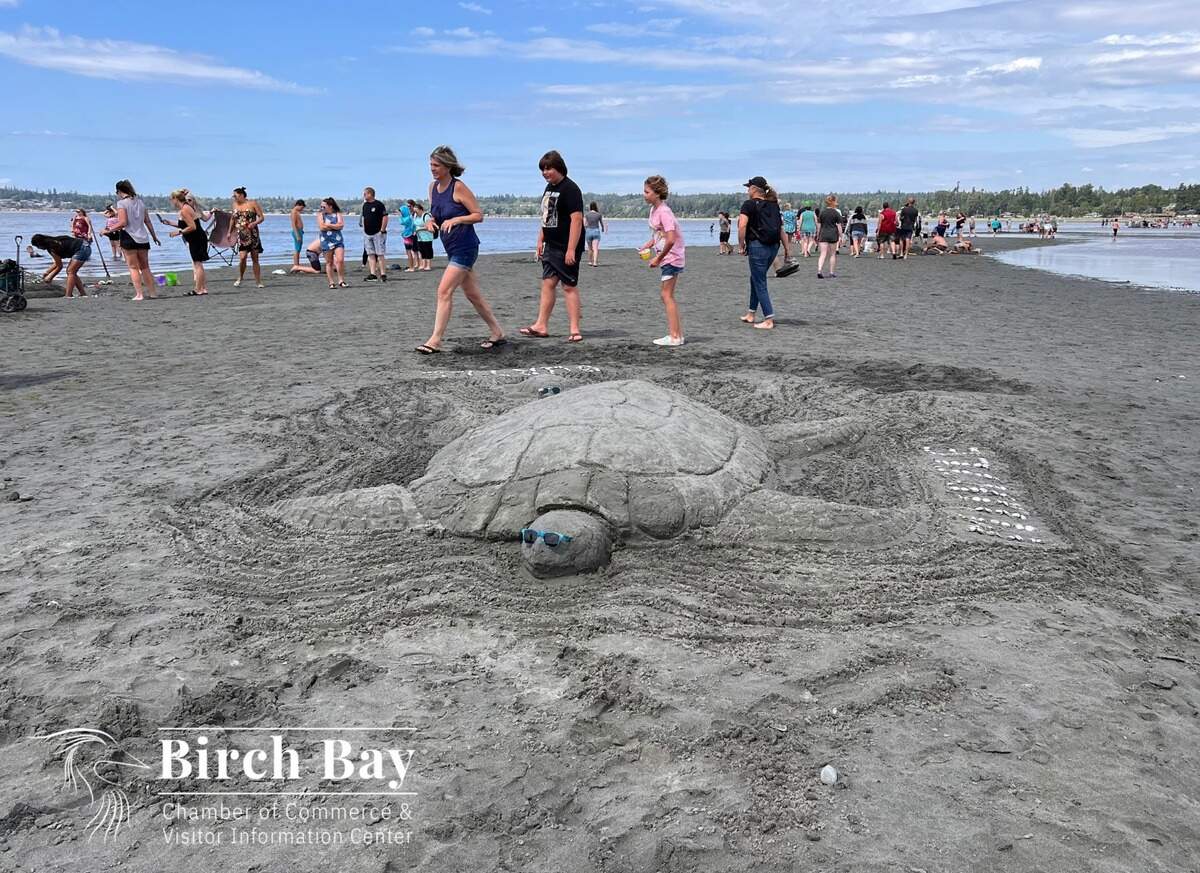 A turtle sand sculpture from the 40th Annual Birch Bay Sand Sculpture Competition in 2023 in Birch Bay, Wash.
