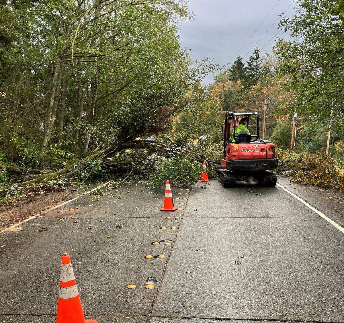 City crews clear felled branches and trees after a storm as October ends in Bellingham.