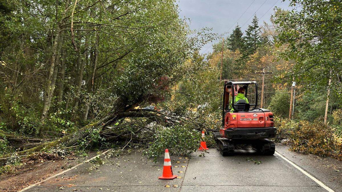 City crews clear felled branches and trees after a windy storm in October 2022.