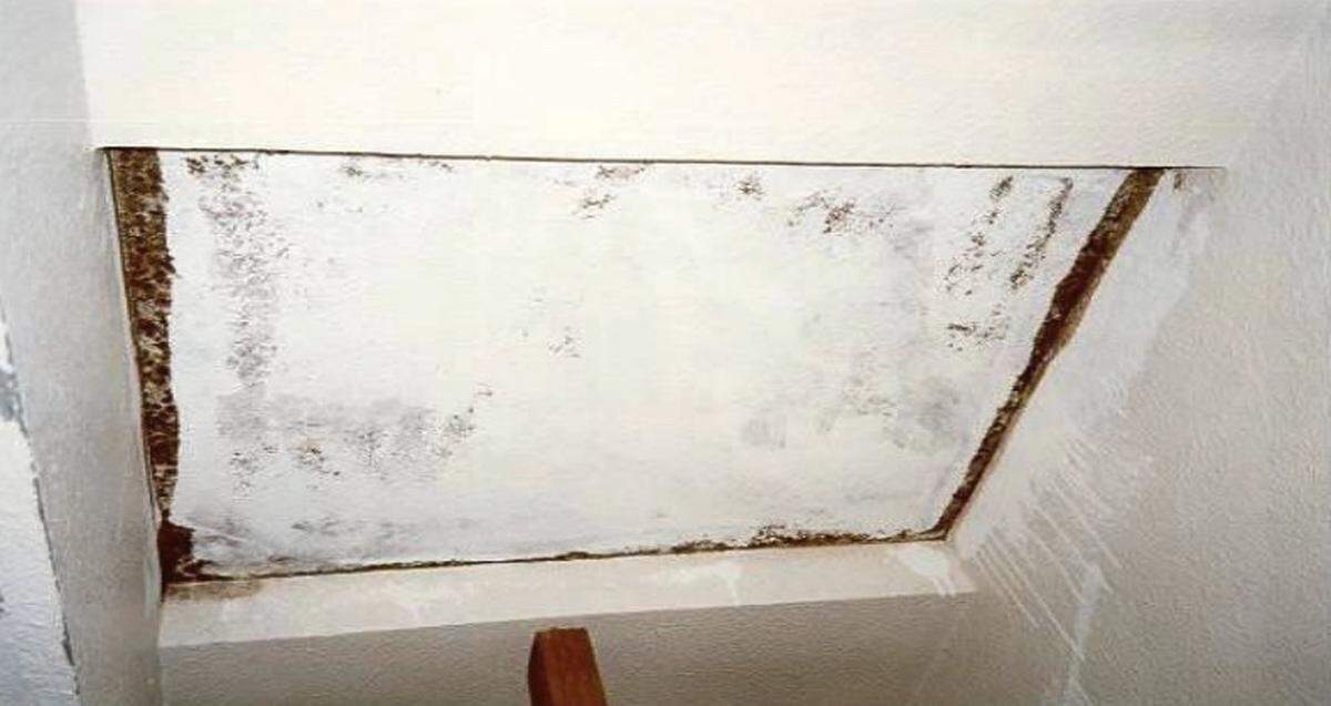 An undated photo shows drywall covered with mold that needs to be removed. Painting over mold is not acceptable for mitigation, according to the Washington State Department of Health.