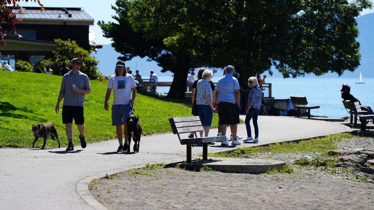 People walk their dogs along the beach at Boulevard Park.