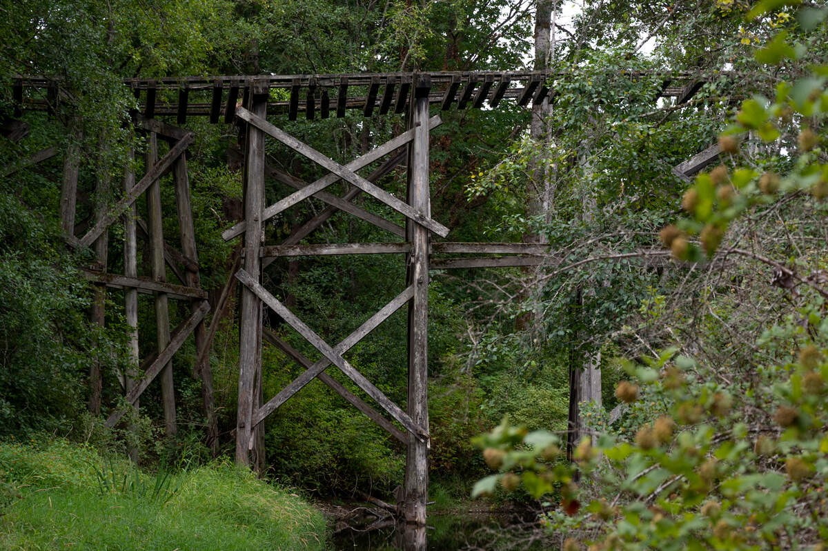 The historic railroad trestle in Whatcom Falls Park could collapse and must be demolished, according to Bellingham officials. The trestle, on Friday, Aug. 20, crosses Whatcom Creek on the south end of the Railroad Trail, north of Derby Pond in Bellingham.