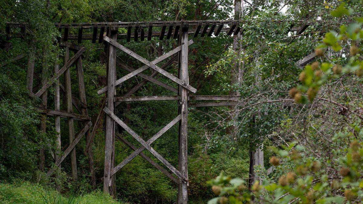 In an August 2021 photo, the historic railroad trestle in Whatcom Falls Park crosses Whatcom Creek on the south end of the Railroad Trail, north of Derby Pond.