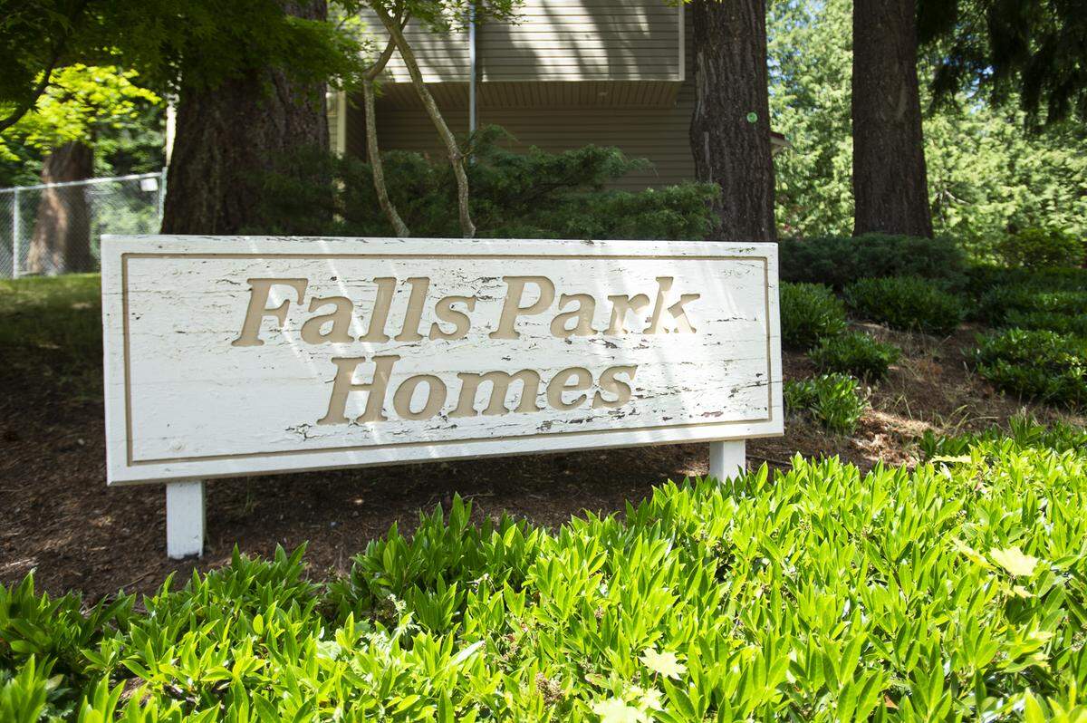 A plan to prune limbs and cut trees at Falls Park Homes in Bellingham in late summer raised concerns for residents and neighbors.