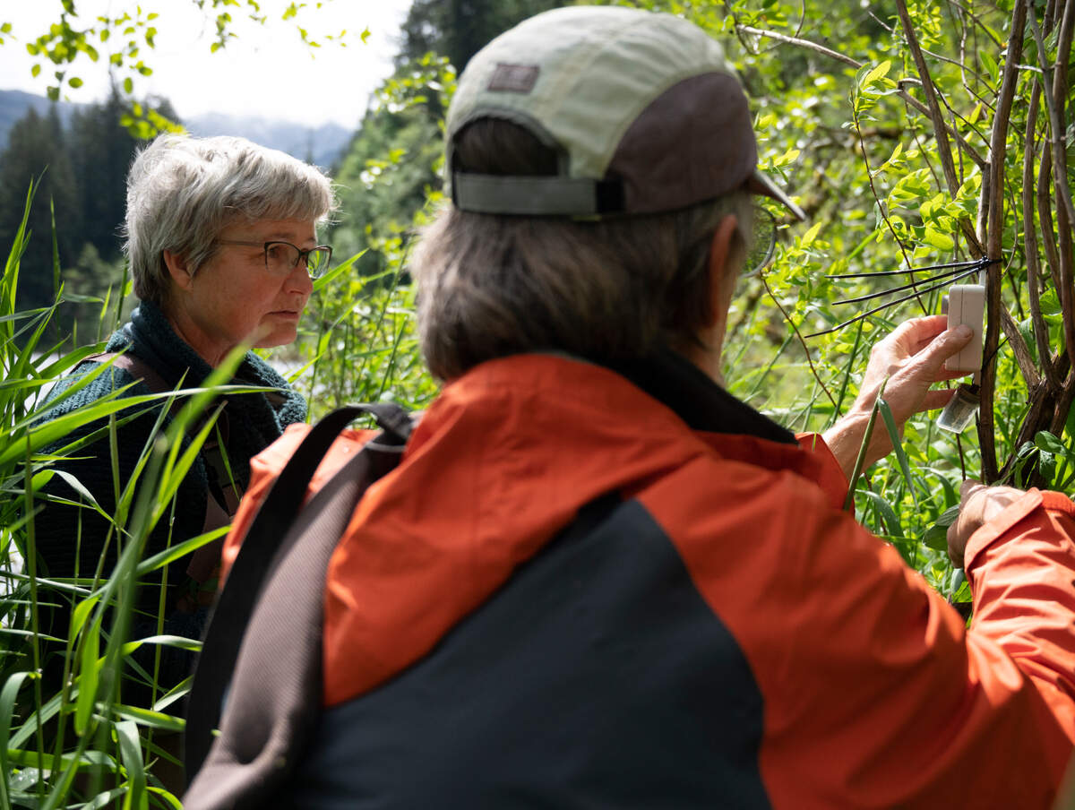 Vikki Jackson and Stephen Nyman of the Whatcom County Amphibian Monitoring Program place a recorder at Mirror Lake on Friday, May 28, in Whatcom County.