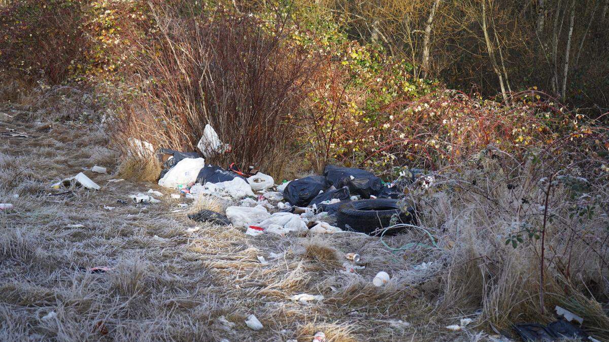 Full garbage bags and loose trash are scattered across a Bellingham property.