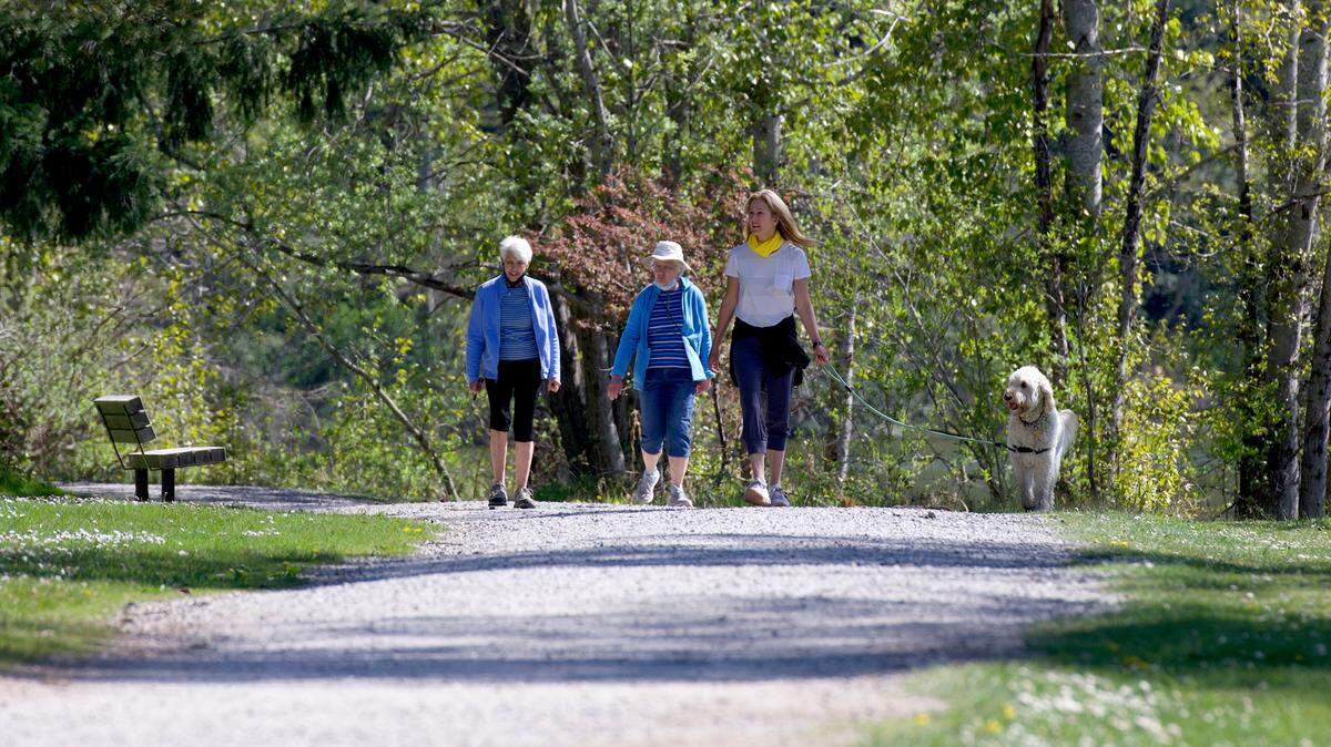 People walk along the trail that goes around Lake Padden in April 2021.
