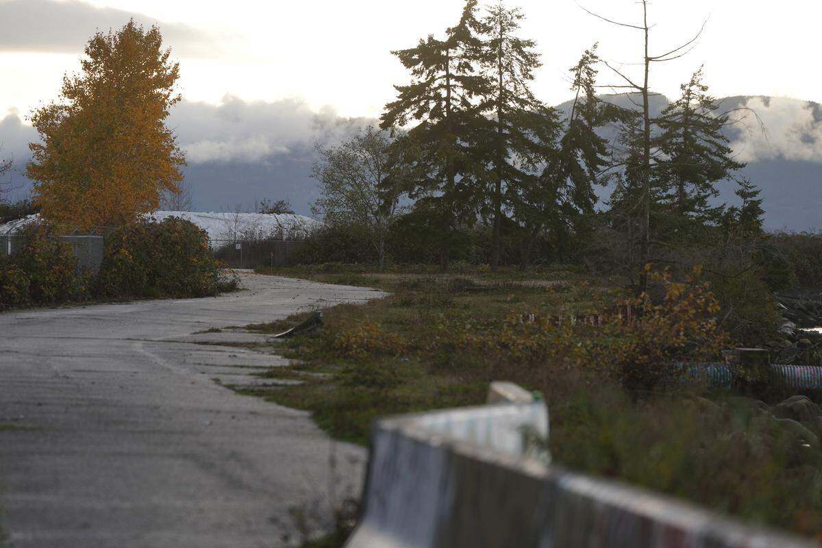 Plastic wrap covering soil a toxic clean-up site is visible beyond a gate on November 17, 2025, in Bellingham, Wash. The polluted site is expected to become a public park after construction and cleanup.