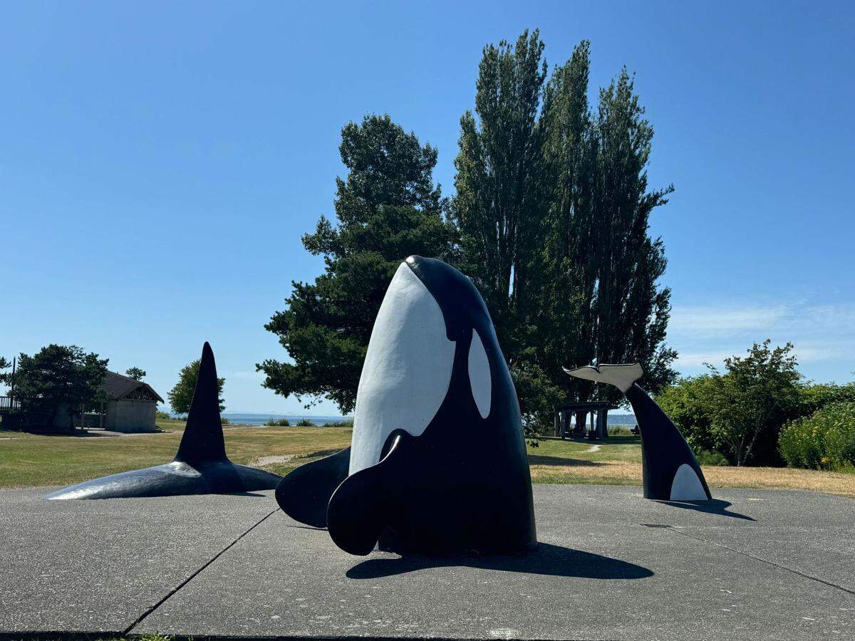 An orca sculpture on the way to Jorgensen Pier, also known as Blaine Public Pier, at 199 Marine Dr. in Blaine, Wash. on Friday, July 12, 2024.