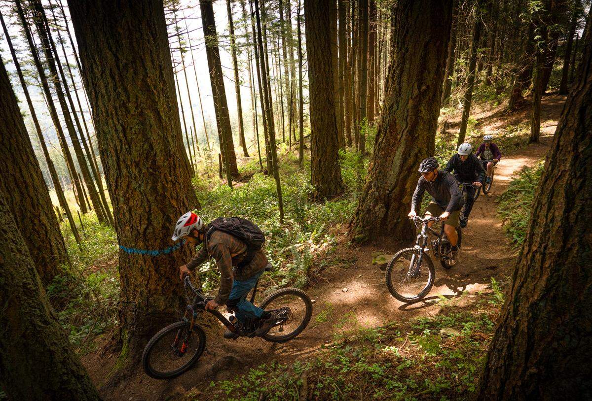 A group of Dig Deep Tour bikers navigates a Galbraith Mountain trail in May. Dig Deep Tour offers mountain bike rentals as well as tours of trails in the Bellingham area.